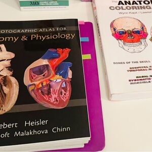 Anatomy flash cards, Anatomy coloring book, anatomy and physiology atlas